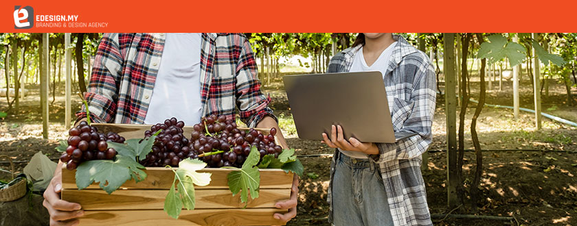 Creating Informative and Engaging Websites for Farming Businesses