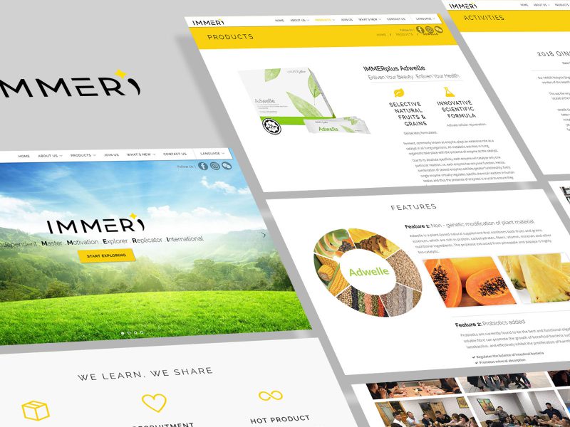 website development for direct selling company