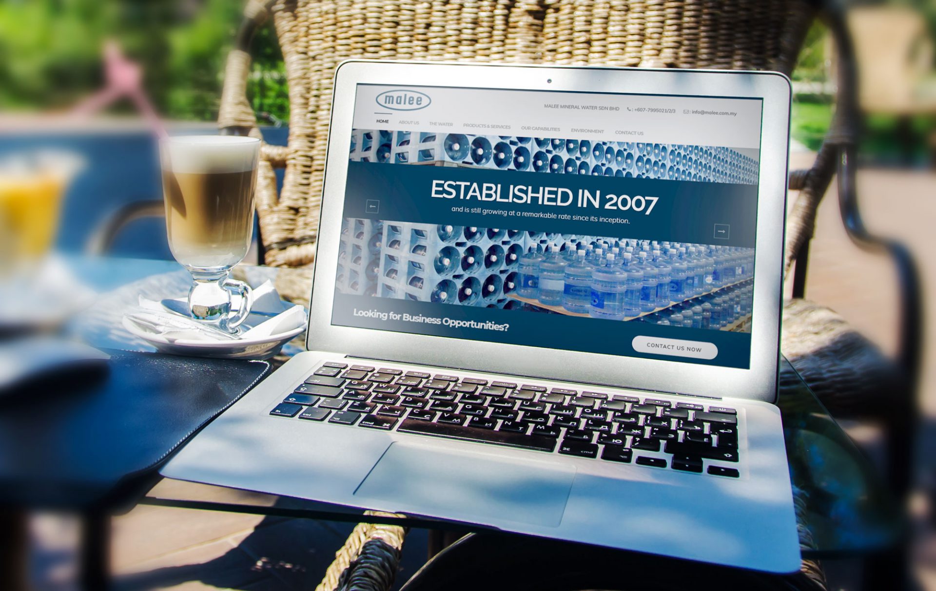 website design for mineral water company