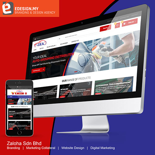 website development for autocare company